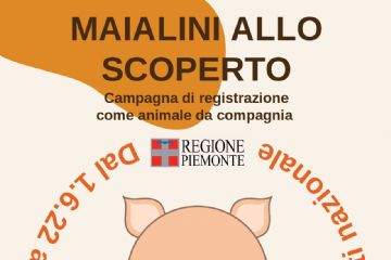 Maialini allo scoperto